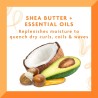 Cantu Shea Butter Coconut Oil Shine and Hold Mist, 8 Fluid Ounce Cantu Shea Butter Coconut Oil Shine and Hold Mist, 8 Fluid Ounce