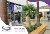 ANGELS EMPORIUM INVESTMENT LTD ANGELS EMPORIUM INVESTMENT LTD